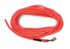 sportdog brand orange check cord