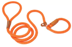 lynxking dog leash