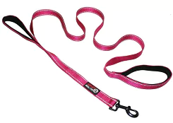 primal pet gear leash