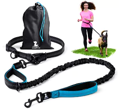 sparklypets hands free dog leash